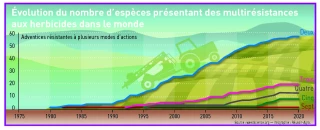 Les résistances aux herbicides grimpent en flèche