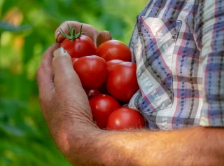 Convention collective nationale : la nouvelle classification des emplois 