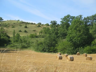 La location d’une petite parcelle