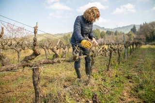 Agricultrices en Drôme :  un art de vivre 