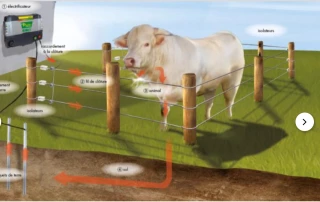 Comment bien placer sa prise de terre pour une clôture électrique efficace ?