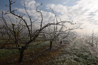 50 M€ de plus contre les aléas climatiques