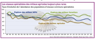 Les oiseaux spécialistes des milieux agricoles toujours plus rares