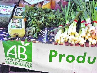 L’agriculture biologique : parlons-en !