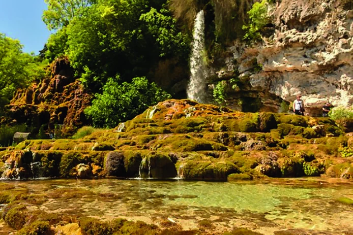 Le label Jardin remarquable, qu’est-ce que c’est ? 