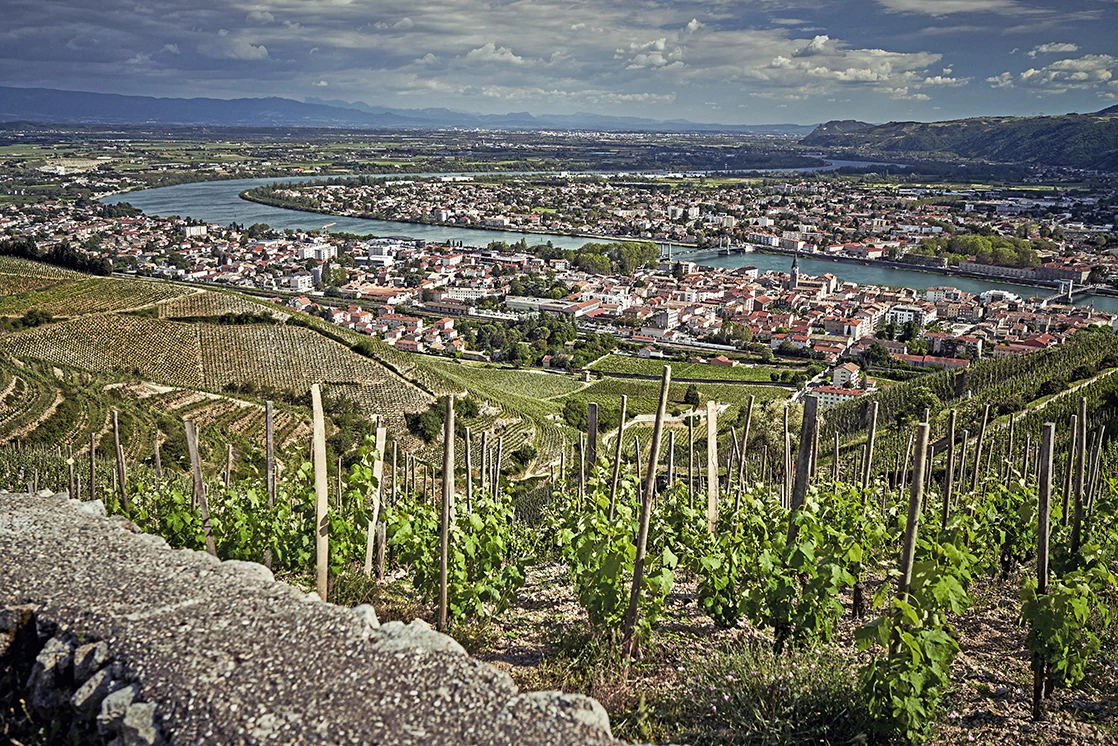 Vins : une carte à jouer pour l’œnotourisme