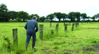  « Plantons des haies ! » en Auvergne-Rhône-Alpes