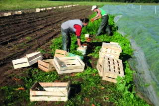 Durées maximales du temps de travail