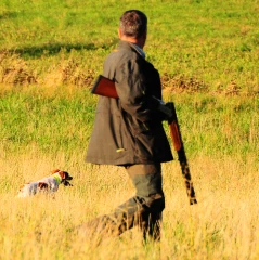 Le fermier et son droit de chasser  sur les terres louées