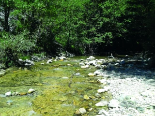 Les bassins du Lez  et de la Berre en alerte 