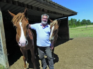 Des chevaux pour faire face aux allergies