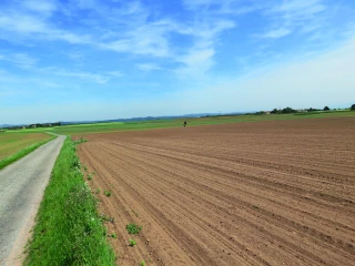 Valeur vénale des terres agricoles 2020