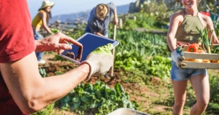 En Drôme : la SAU totale se maintient,  l’élevage recule fortement