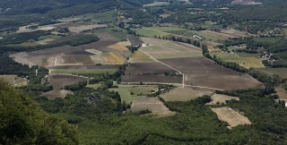 Taxes foncières pour les jeunes agriculteurs : dégrèvement  à demander avant le 31 janvier