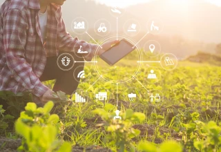 Focus sur trois outils d’aide à la décision en agriculture