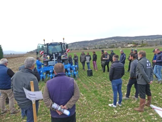 Céréales : l’intérêt du binage mécanique