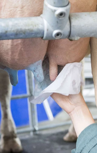 Hausse des intrants : tous les systèmes et élevages impactés