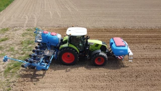 Un semis en quinconce pour des plants plus forts