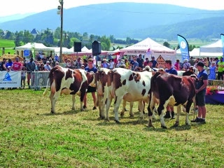 Samedi 23 et dimanche 24 juillet, c’est la Fête du Bleu à Saint-Laurent-en-Royans