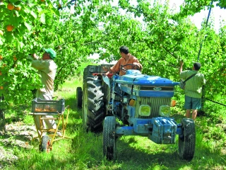 La conduite d’engins agricoles