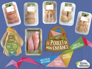 “ Le Poulet de mon enfance ” : l’élevage autrement