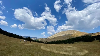 Vente de l’alpage de Jiboui : deux mondes se comprennent