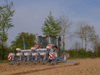 Les dix points clés  pour réussir ses semis  au monograine