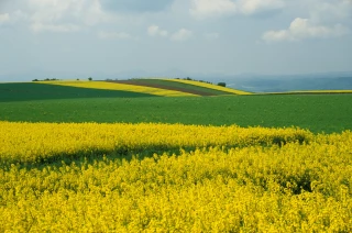 BCAE 7 : la rotation des cultures sur les terres arables