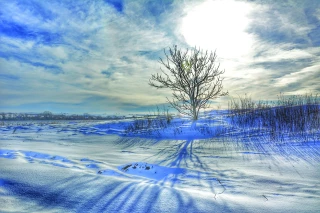 Quelles prévisions météo pour cet hiver ?