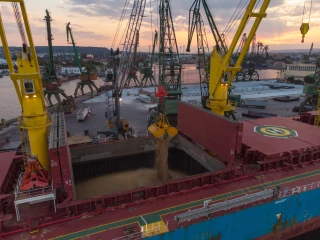 Les prix du transport des grains par voie de mer accusent une forte chute