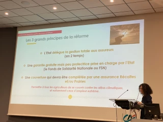 Assurance récolte : « C'est du cas par cas »