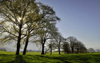 Quelle météo au printemps ? 