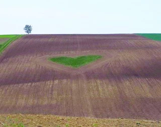 La Saint-Valentin : l’amour à travers le monde