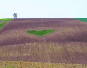 La Saint-Valentin : l’amour à travers le monde  