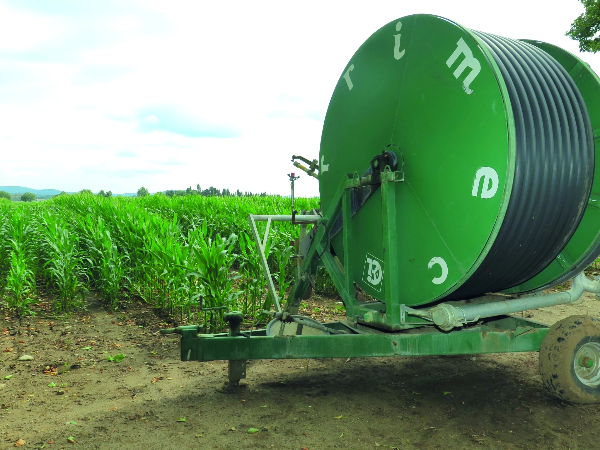Les semenciers demandent un accès garanti à l’irrigation