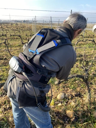 Exosquelette : soulager son dos  lors de la taille de la vigne