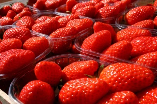 L’AOPn Fraise de France dénonce un faible référencement en GMS