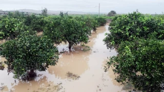 Fortes intempéries en Italie et dégâts en agriculture