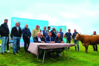 Bovins viande : 6 M€  de crédits réservés