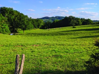 Changement climatique : qu’est-ce que l’effet albédo ? 