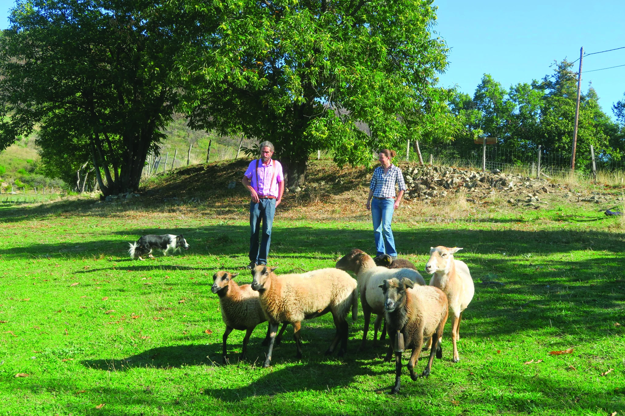 “ Les Bergers des Chaupous ”, une ferme ouverte