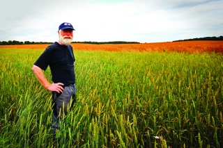 L’mpact de la réforme des retraites  sur les non-salariés agricoles