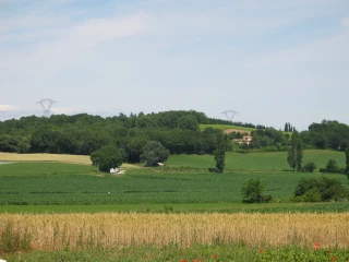 Dégrèvement des taxes foncières pour les jeunes agriculteurs : à demander avant le 31 janvier