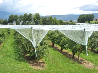 Investir pour se protéger des risques climatiques et sanitaires