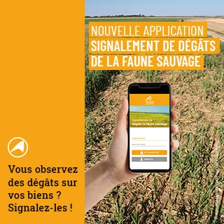 Une appli à télécharger