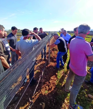 Le changement climatique,  un défi collectif pour la viticulture