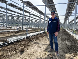 Abricots sous photovoltaïque : réguler le climat pour produire