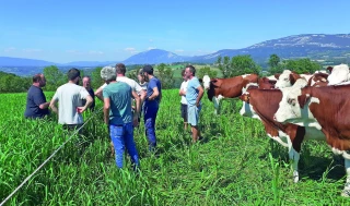 Cinq nouvelles espèces fourragères testées pour résister aux étés plus secs