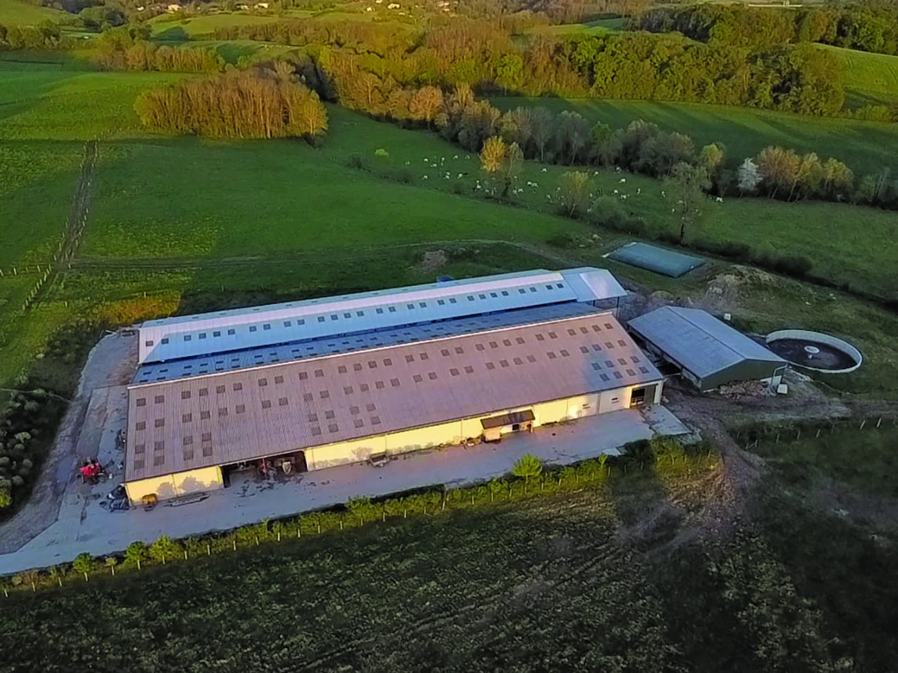 Des projets plein la tête