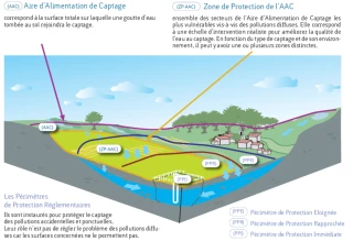 Captages prioritaires : une procédure  très encadrée pour préserver la qualité de l’eau